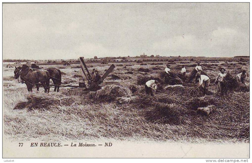 En Beauce  La Moisson - Centre-Val De Loire