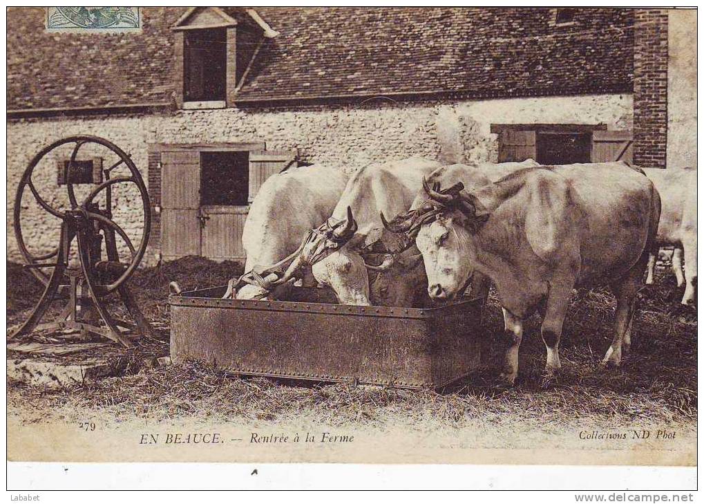 EN BEAUCE     Rentrée A  La Ferme - Centre-Val De Loire