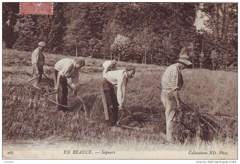 EN BEAUCE    Sapeurs - Centre-Val De Loire