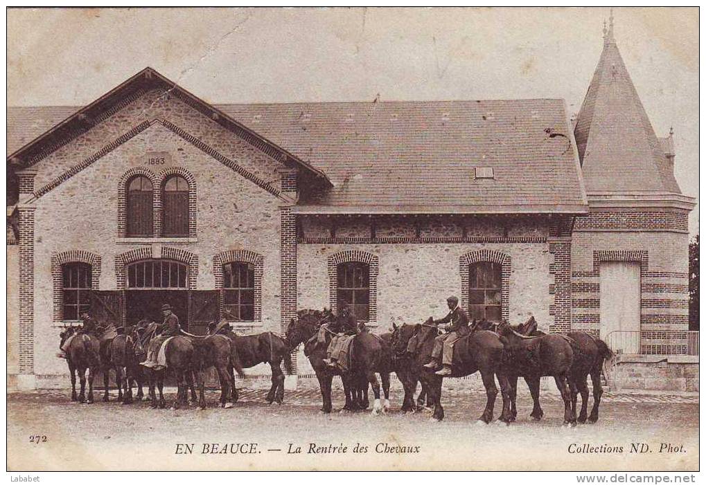 EN BEAUCE  La Rentrée Des Chevaux - Centre-Val De Loire