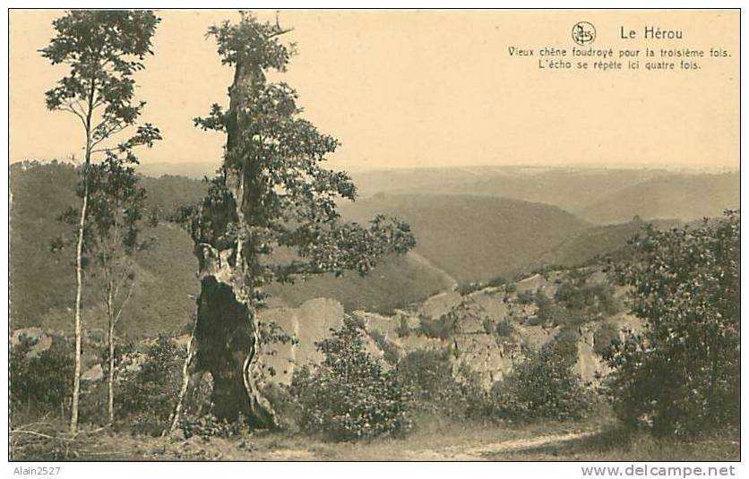 LE HEROU - Vieux Chêne Foudroyé Pour La Troisième Fois.  L'écho Se Répète Ici Quatre Fois (Ern. Thill, Bruxelles) - Houffalize