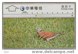 # TAIWAN 9999-2 Bird 1 100 Landis&gyr  -birds,oiseaux- Tres Bon Etat - Taiwan (Formose)