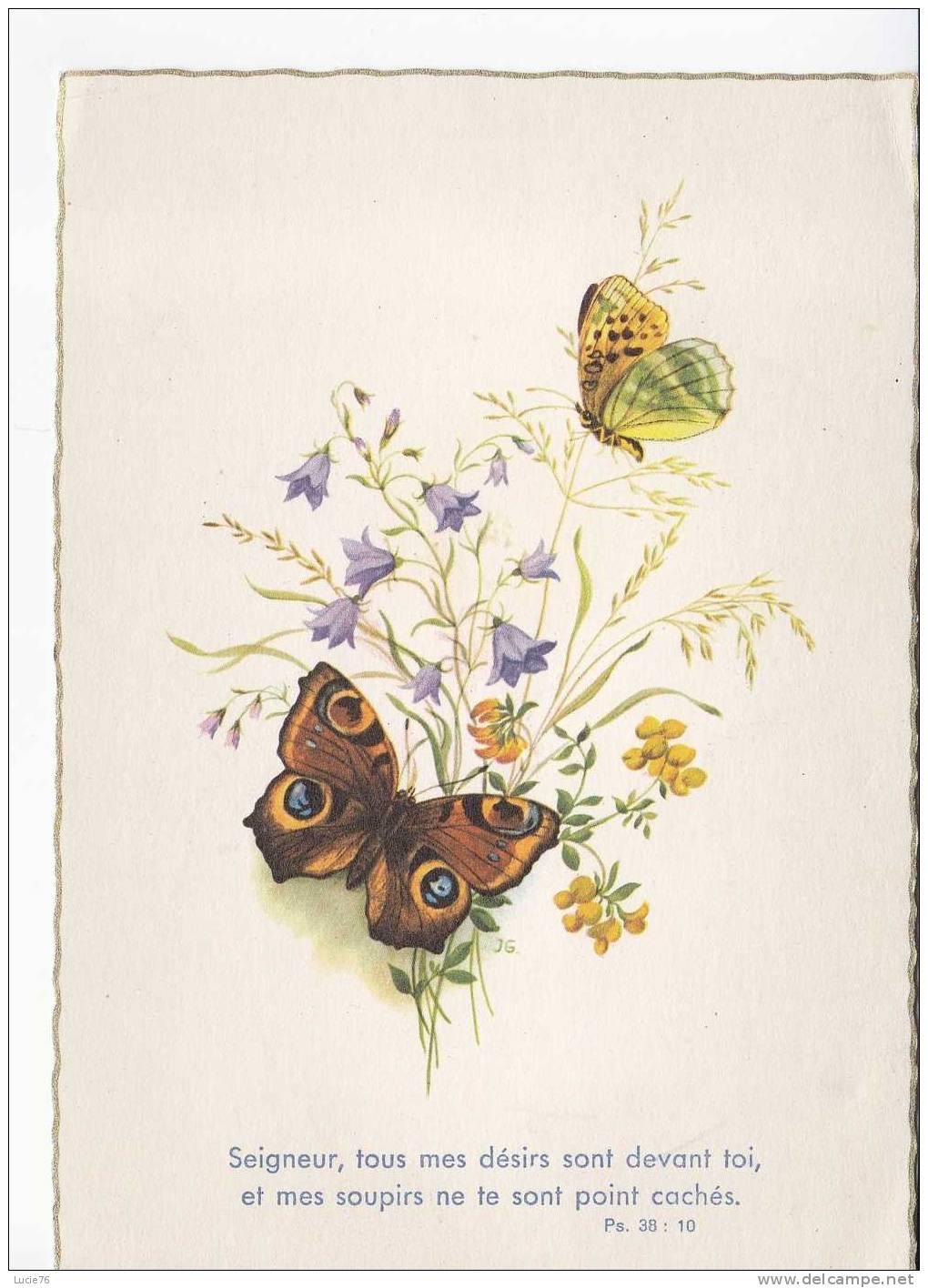 PAPILLONS  Sur Un Bouquet De Fleurs -  Illustration  - N°  406 2   -        . - Papillons