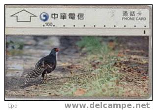 # TAIWAN 9999-4 Bird 3 100 Landis&gyr -birds,oiseaux-   Tres Bon Etat - Taiwán (Formosa)
