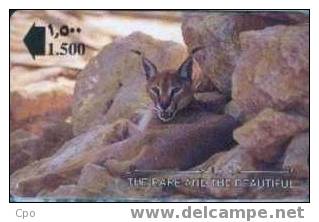 # OMAN 30 The Rare And The Beautiful - The Caracal Lynx 1,5 Gpt 01.93 -animal- Tres Bon Etat - Oman