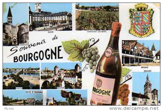 71 Souvenir De BOURGOGNE (Tournus,Dijon,Santenay,Beaune,Saulieu,Semur,Nuits St Georges,Macon) ,bouteille De Vin - Bourgogne