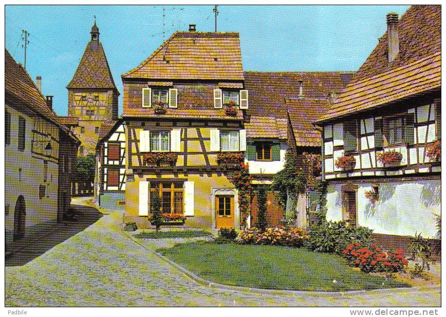 Carte Postale 68. Bergheim Place Du Marché Trés Beau Plan - Autres & Non Classés