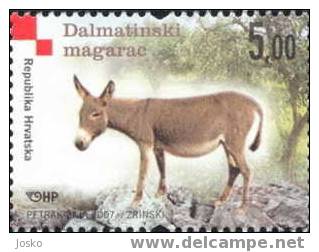 DALMATIAN DONKEY - Croatian Autochthonous Breeds ( Croazia MNH** ) âne Baudet Bourricot Burro Asno Esel Asino Donkeys - Ezels