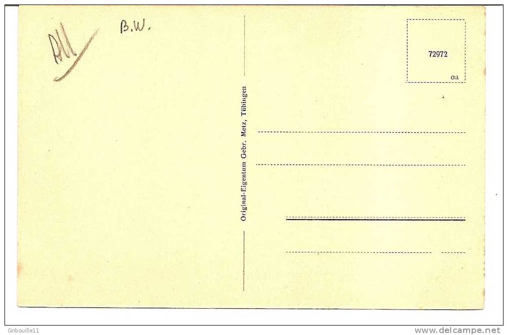 FELDBERG   -   * NEUER FELDBERGTURM *   -   VERLAG  Gebr. METZ Aus Tübingen    N°72972 - Feldberg