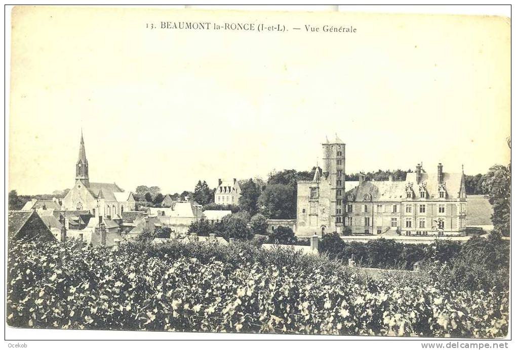 BEAUMONT - LA - RONCE  Vue Générale - Beaumont-la-Ronce