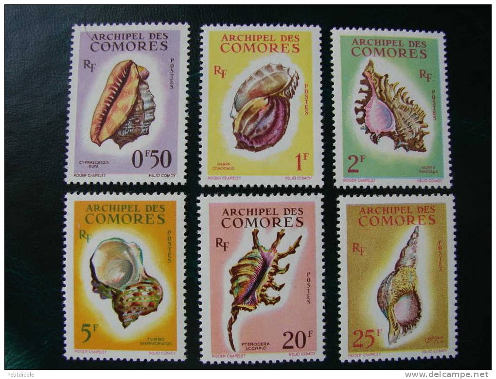 COMORES -  Série N° 19/24   YT - 1962 - Coquillages-  * - TTB - Unused Stamps