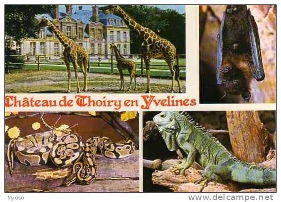 78 Chateau De THOIRY EN YVELINES - Thoiry