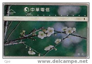 # TAIWAN 8025 Flowers  100 Landis&gyr -flowers,fleurs-   Tres Bon Etat - Taiwan (Formose)