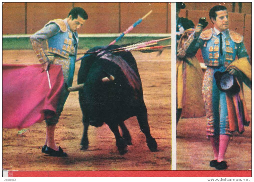 CORRIDA TOROS TAUREAUX TAUROMACHIE Cp Animée - Corrida