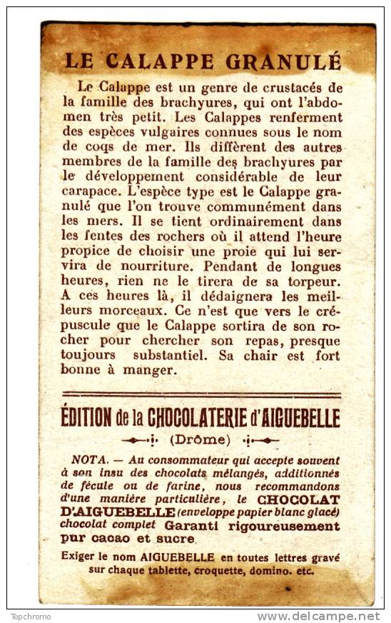 CHROMO Chocolat D'Aiguebelle Les Crustacés Le Calappe Granulé - Aiguebelle