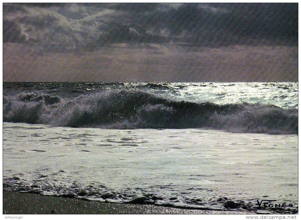 LANDES (reflets D'argent Sur L'ocean) - Aquitaine