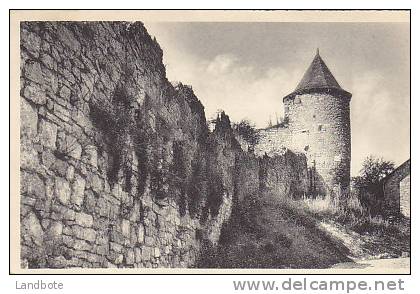 Nismes Ruines Du Château - Viroinval