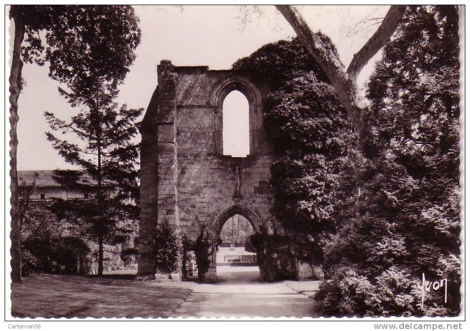 95 - Luzarches - Ruines De L'Abbaye D'Hériveaux - Luzarches