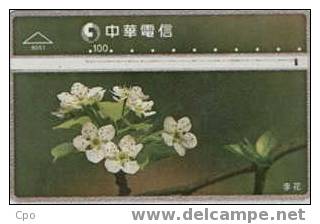 # TAIWAN 8051 Flowers 100 Landis&gyr -flowers,fleurs-   Tres Bon Etat - Taiwan (Formose)