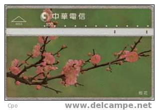 # TAIWAN 8053 Flowers 100 Landis&gyr -flowers,fleurs-  Tres Bon Etat - Taiwan (Formose)