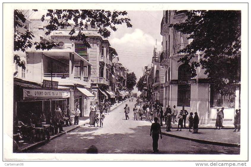 Algérie - Tlemcen - Rue De France - Tlemcen