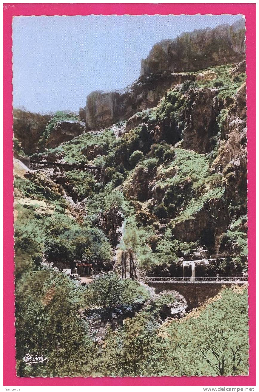 1812 - ALGERIE -  TLEMCEN - Les Cascades Et Montagne D'EL-OURIT - Tlemcen