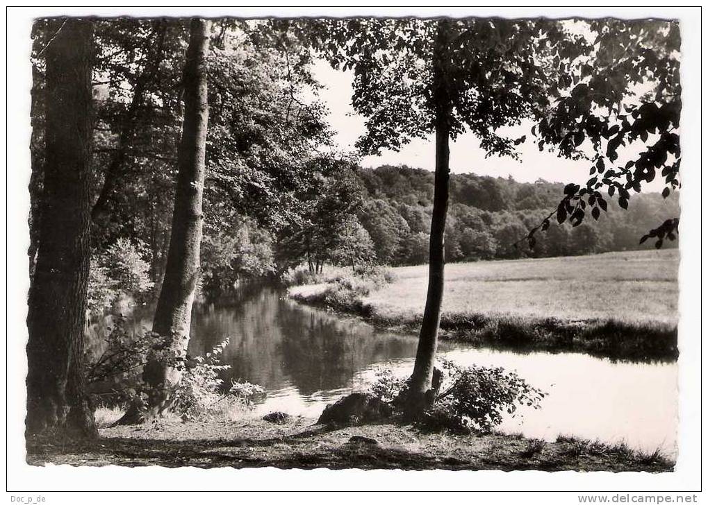 Deutschland - Fallingbostel - Im Böhmetal - 1961 - Fallingbostel