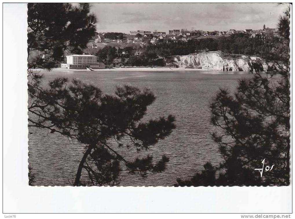 MORGAT PAR CROZON - Les Falaises Des Petites Grottes Vues Du Bois De Pin Qui Domine Le Port - N°  2005     . - Morgat