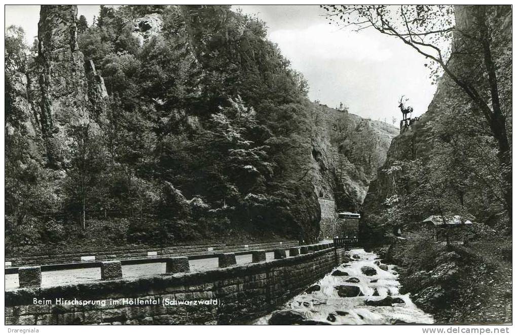 Beim Hirschsprung Im Höllental - Schwarzwald - Hochschwarzwald