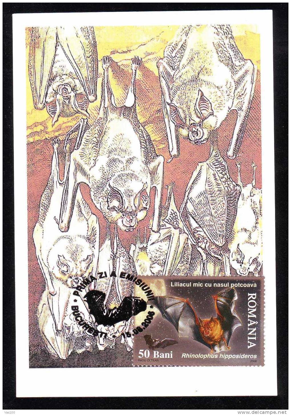 Maximum Card - Bats 2006 Cancell FDC - Romania Very Rar Personal Realization.!! - Chauve-souris