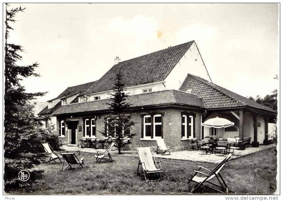 B2170   LICHTAART : Hotel Sancta Lucia - Kasterlee