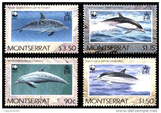 (2222) Montserrat WWF Dolphins / Dauphins / Delfine  ** / Mnh  Michel 786-89 - Montserrat