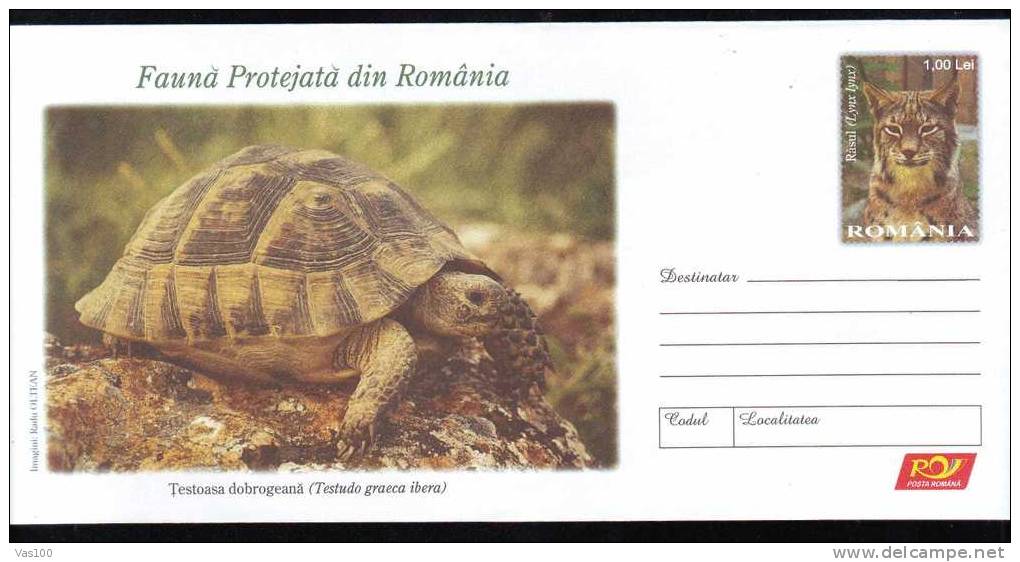 2009 Stationery Cover, Ptotected Fauna,Lynx And Tortues, Very Nice Romania. - Tartarughe