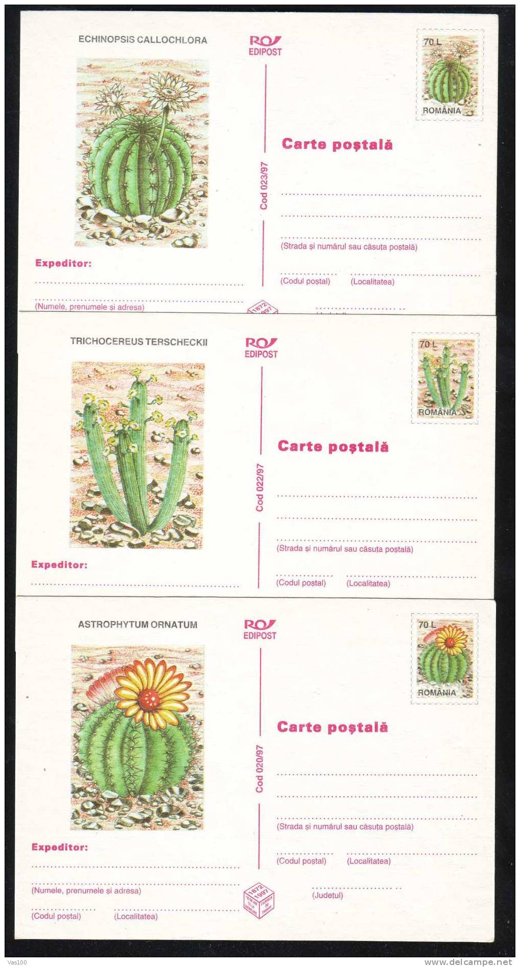ROMANIA 1997 Entier Postaux Stationery 3x,POSTCARD,with Cactusses,cactus. - Cactusses