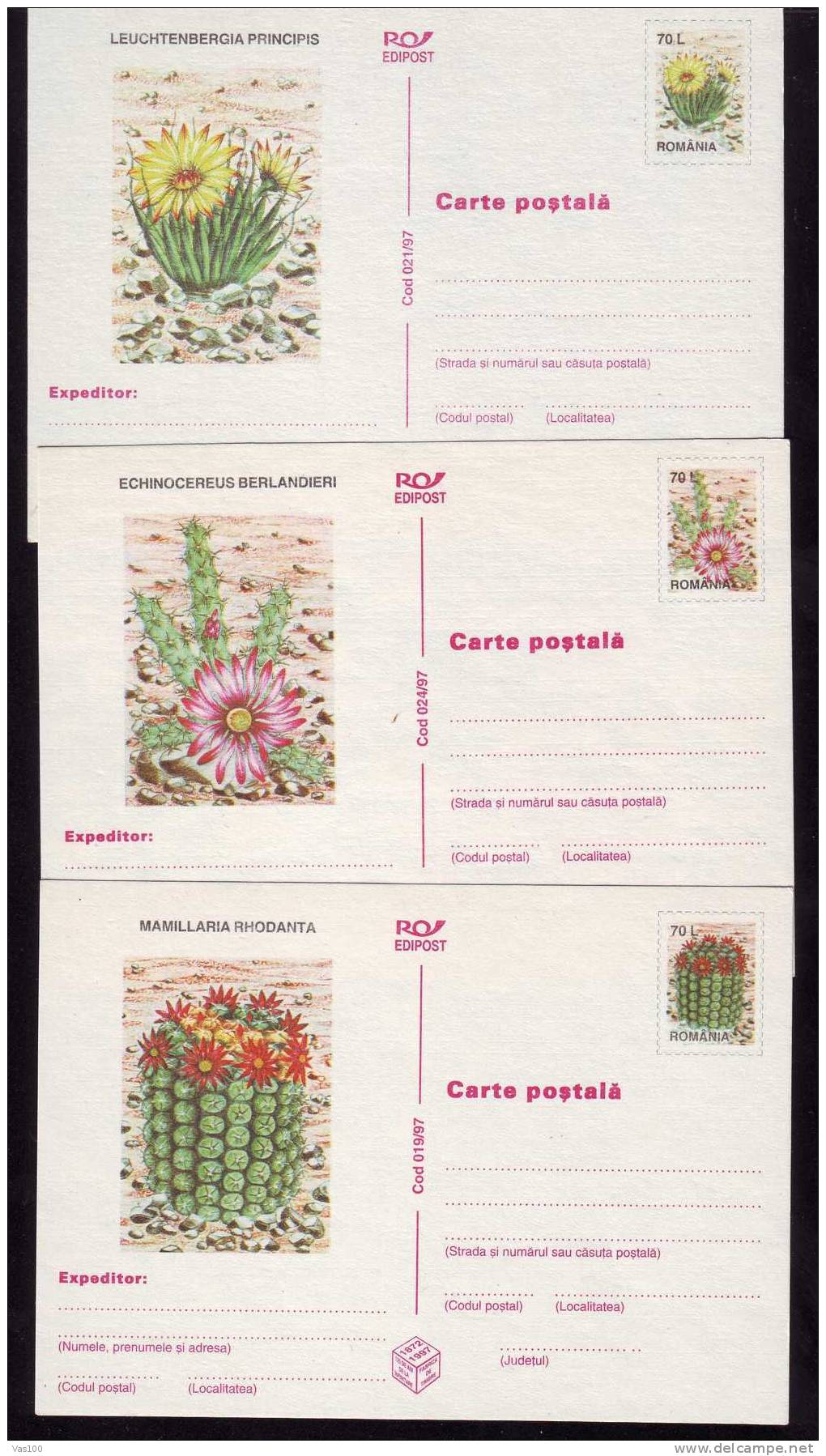 ROMANIA 1997 Entier Postaux Stationery 3x,POSTCARD,with Cactusses,cactus. - Cactusses