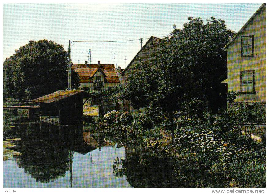 Carte Postale  67. Benfeld Lavoirs   Trés Beau Plan - Benfeld