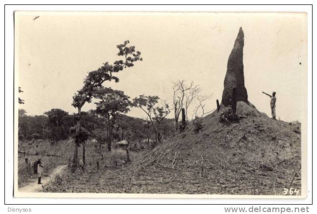 Photo De Léopold Gabriel - N° De Négatif  364 - Congo Belge