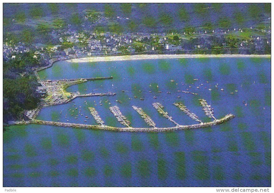 Carte Postale 29. Presqu'île De Crozon  Morgat  Vue D'avion Trés Beau Plan - Crozon