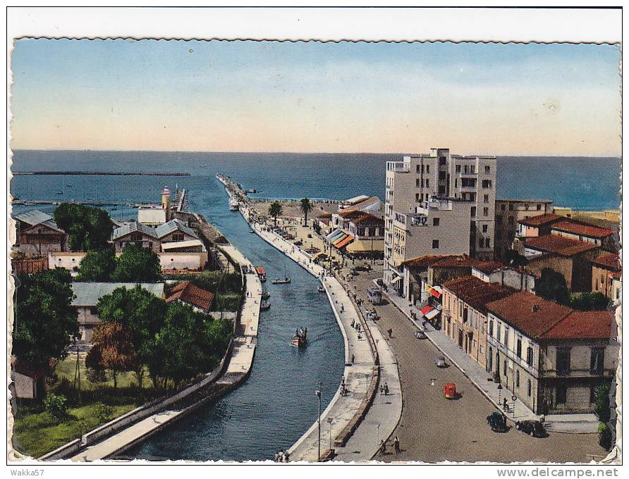 $3-0321-  VIAREGGIO IL MOLO -  F.G. VIAGGIATA 1953 - ITALY - Viareggio