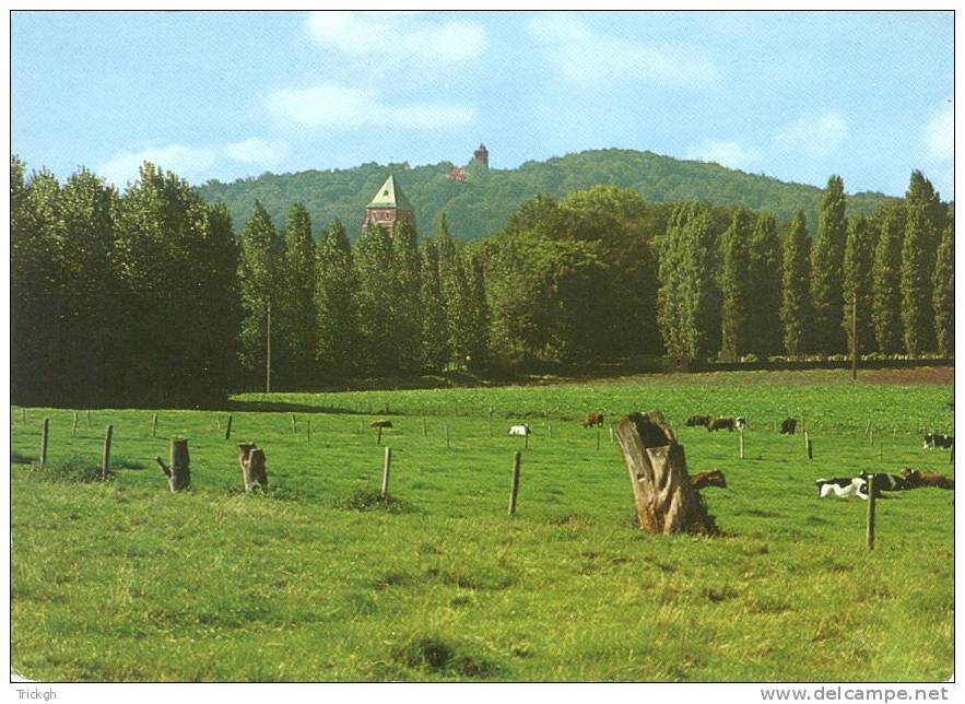 Kemmelberg Mont Kemmel / Uitkijktoren Belvédère - Heuvelland