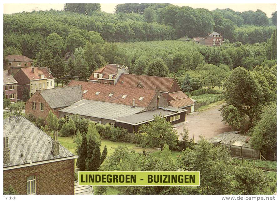 Buizingen Lindegroen Kerkstraat - Halle