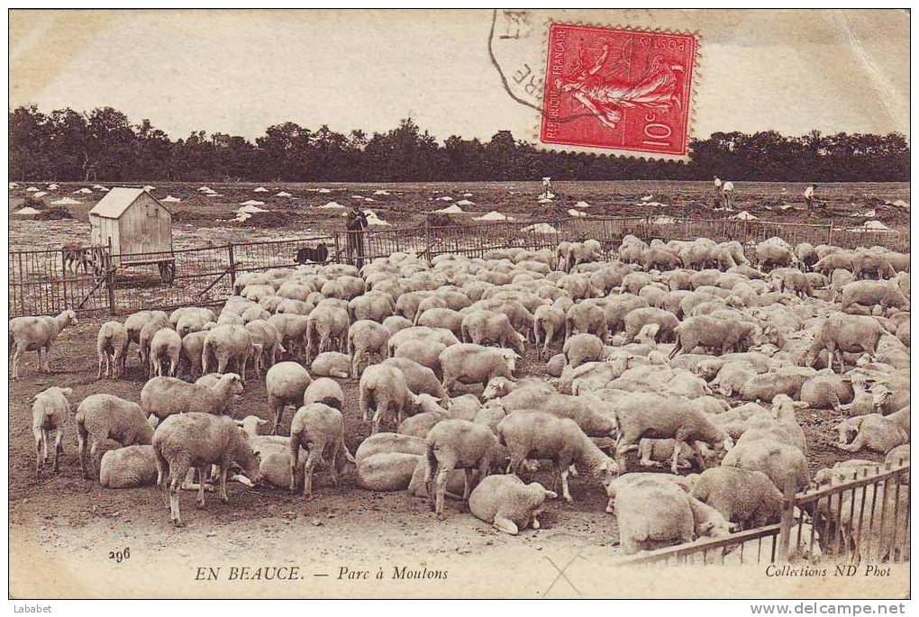 EN BEAUCE    Parc A Moutons - Centre-Val De Loire