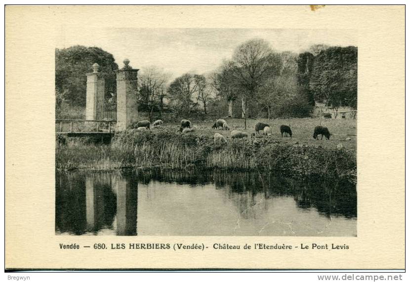 85 - CPA Les Herbiers - Château De L'Etenduère - Le Pont Levis - Les Herbiers