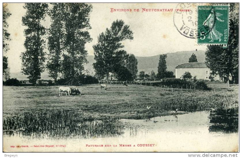 88 - CPA Coussey - Paturage Sur La Meuse - Coussey