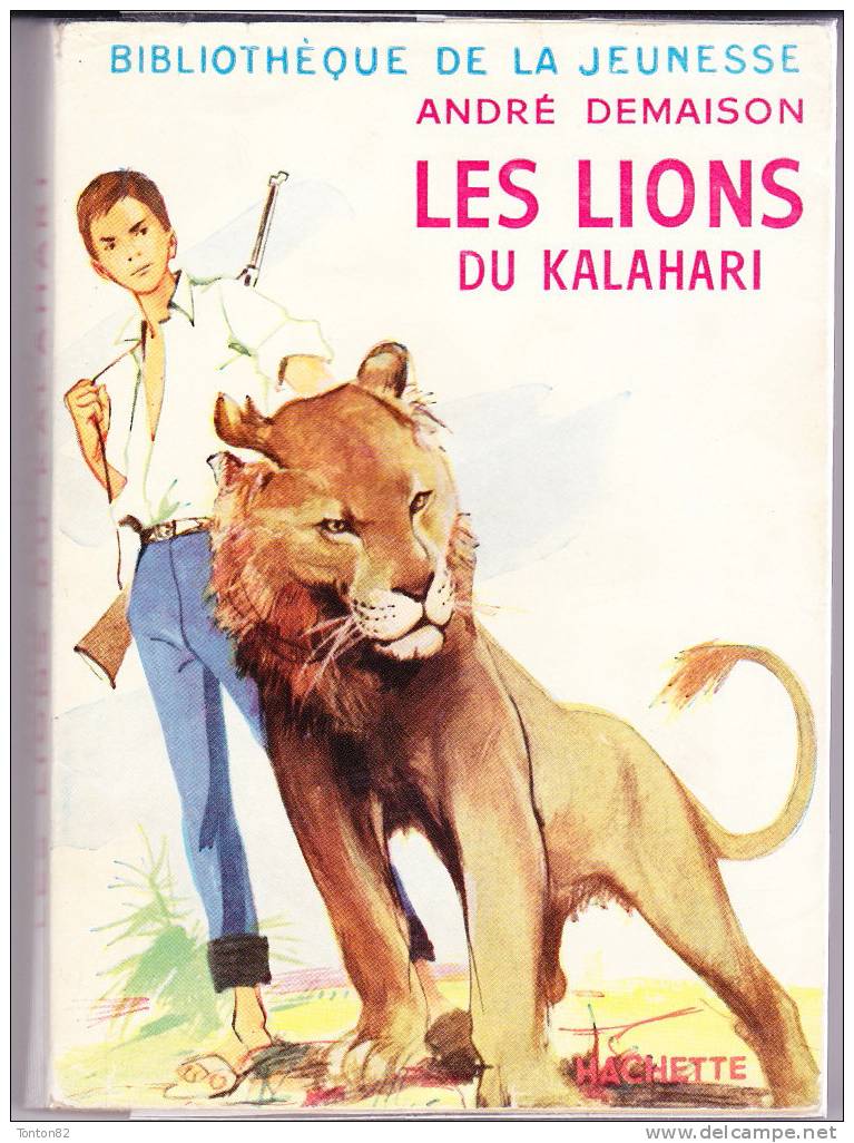 Anfré Demaison - Les Lions Du Kalahari -  Bibliothèque De La Jeunesse - ( 1956 ) . - Bibliothèque De La Jeunesse