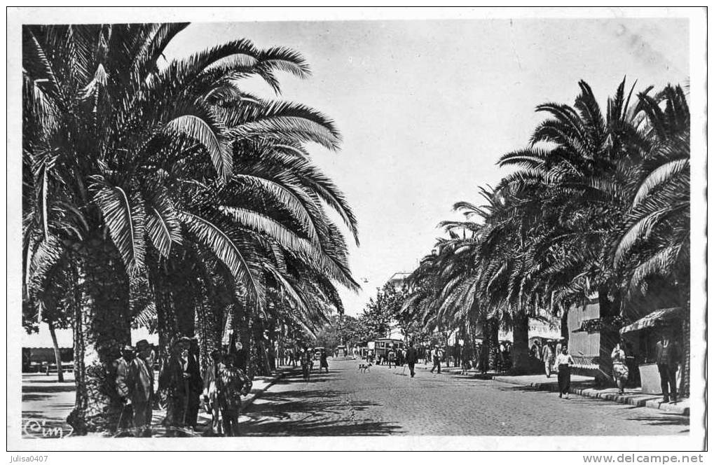 SIDI BEL ABBES (Algérie) Boulevard De La République - Sidi-bel-Abbes