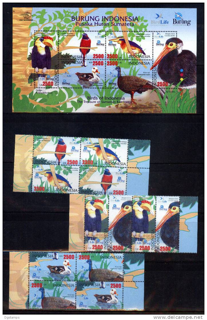 Indonesia 2009 Fauna Avícola: Aves Diversas En Su Hábitat. Serie En Dos Posiciones + Bloc. - Entenvögel