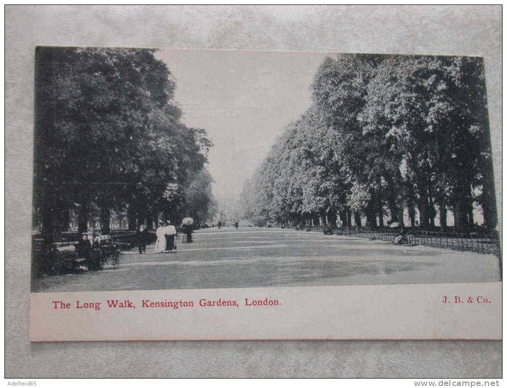 Rare View: The Long Walk, Kensington Gardens, London , J.B. & Co. C 1905 - Autres & Non Classés