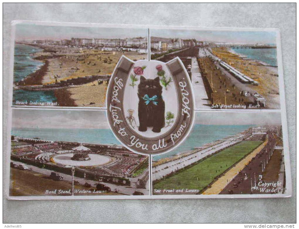 Good Luck From Hove, 4 Views Black Cat, Horse Shoe, A.W.W. Brighton RPPC - Brighton