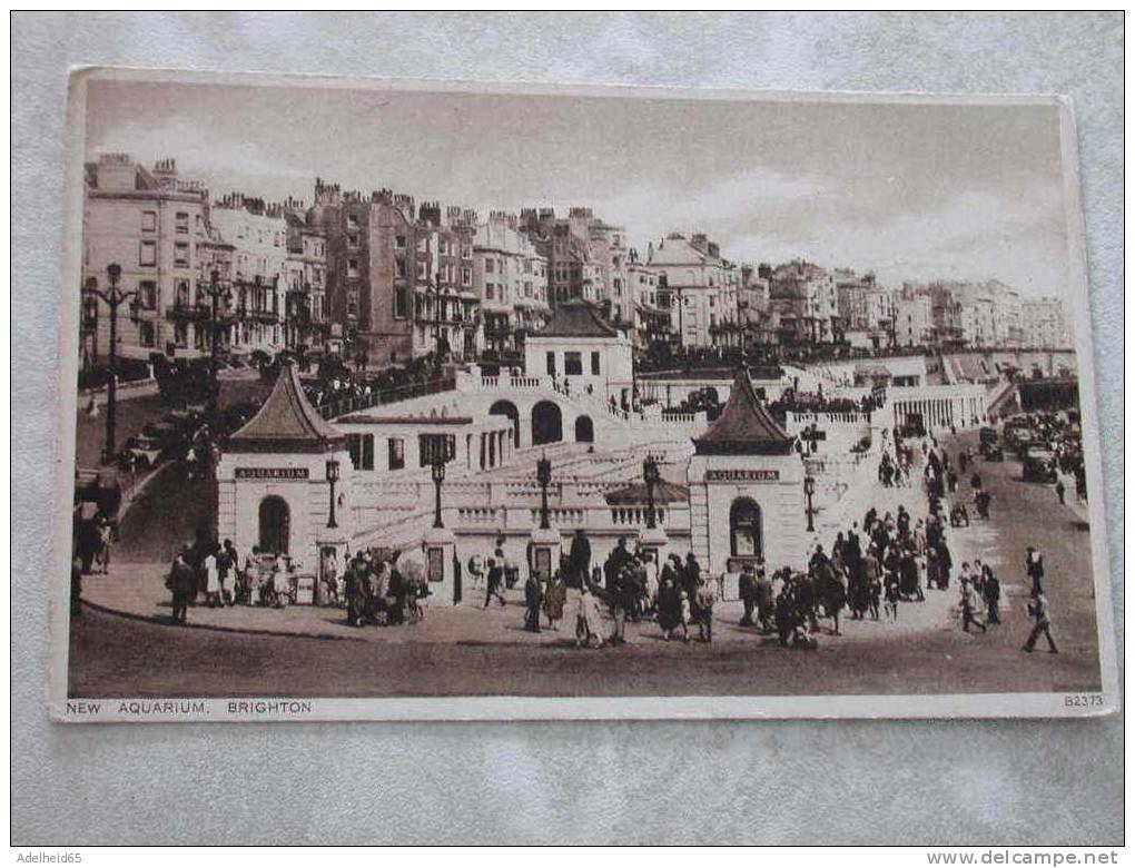 New Aquarium, Brighton, Lots Of People C 1920 - Brighton